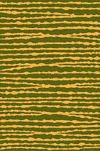 COMFORT SHAGGY 2 s649 GREEN-ORANGE