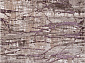 REGINA O0282 050 PURPLE