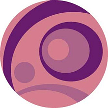 SUNRISE 2 V151 PINK Круг