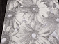Valentino M008A D.GREY SHRINK / D.GREY