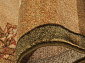 ISFAHAN Adara olive