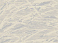 SKAT F645 GRAY-CREAM