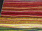 RIO 2773 MULTICOLOR