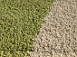 длинноворсовый  Highline 2805 9206 green