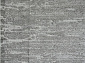 TUNIS 6802C WHITE / D.GRAY