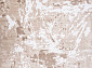 VALENCIA DELUXE D943 BEIGE-BROWN