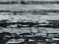LEO GPX 6024 GREY