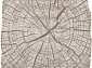 SAFIR 00839A BROWN / BROWN