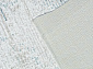 Ковровая Дорожка DALLAS 8024 в ассортименте