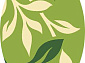 FLOWER VR15 GREEN Овал