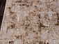 QUANTUM 03013B BROWN / BROWN