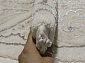 HUNKAR 08075G GREY / GREY Овал