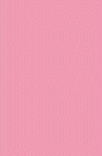 шегги Rainbow Shaggy PC00 rose