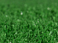 Ковровая Дорожка с искусственной травой GRASS G001 000