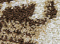 SUNRISE 2 D458 BEIGE