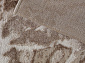 Ковровая Дорожка SAMIRA O1119 770 BEIGE