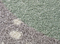 IZUMRUD C209 LIGHT GRAY