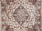 FENIX 31560 681 BROWN