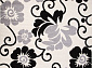 SUNRISE 2 V142 CREAM-BLACK