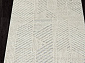 TUNIS 6801A WHITE / L.GRAY