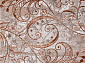 REGINA O0273 020 ROSE