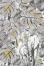 Touch Africa Grey