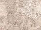  ALABASTER Rosan W cocoa