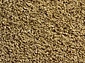 Грязезащитный коврик Bologna 61 0.5x0.8 beige