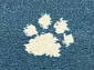 с котиком SOFT Kotek azure
