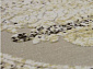 AMASYA 0019A BEIGE / L.BROWN бежево-коричневый