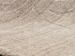 CARVING WOOL VISCOSE HL 646 NATURAL-BEIGE
