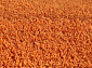 длинноворсовый  Highline 2144 9202 orange