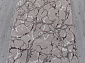 Ковровая Дорожка SILVER F389 GRAY