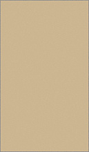 Ковер MIDI T600 BEIGE