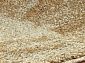 GENESIS A319A BEIGE / BLACK