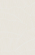 BRIZ F662 CREAM